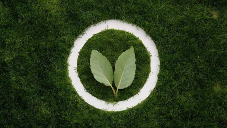 ECO Dyrektywa EmpCo