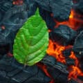 „Ekogroszek” a greenwashing. Co sprawa sądowa mówi o ekologicznych deklaracjach produktów?